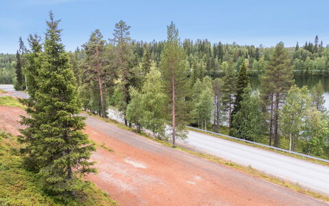 Länsirinne D 16: Boom, Weg, Woud, Doorgang, Lariks, Tropische En Subtropische Naaldbossen, Snelweg, Evergreen