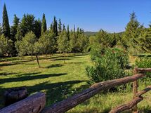 Villa Martina
