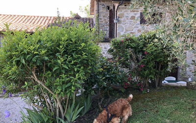 Agriturismo Cuiano