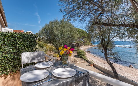 Accommodatie:&nbsp;Cappone 650.5