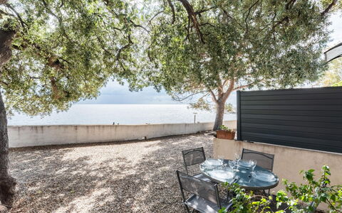 Accommodatie:&nbsp;Signoria 650.3