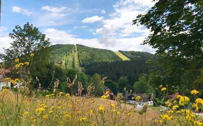 Resident Harrachov B