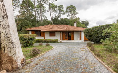 Marguerite - Capbreton, Aquitanië, Frankrijk