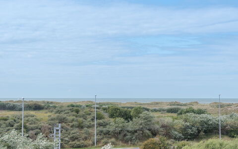De Haan 930: Lucht, Vegetation, Shrubland, Natuurlijk Landschap, Natuurlijke Omgeving, Land Lot, Plantengemeenschap, Plain, Ecoregio, Steppe