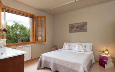 Accommodatie:&nbsp;Tulipano