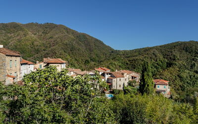 Ciliegi