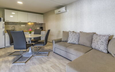 Accommodatie:&nbsp;Mobile Home Superior 110.5