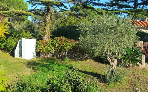 Omer: Boom, Vegetation, Eigendom, Huis, Plantkunde, Fabriek, Gras, Tuin, Woody Plant, Struik