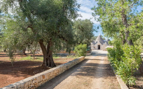 Trullo Suenn Con Piscina: Boom, Eigendom, Weg, Doorgang, Trail, Landschap, Fabriek, Gang, Onroerend Goed, Park