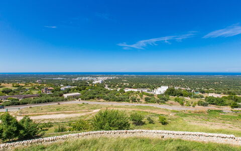 Zia Saby: Lucht, Blauw, Dag, Plain, Horizon, Land Lot, Wolk, Gras, Ecoregio, Grasland