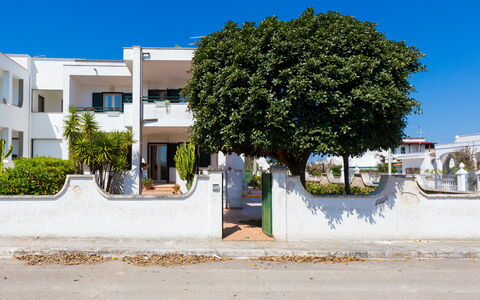 Appartamento Panorama Sul Mare: Woongebied, Boom, Eigendom, Buurt, Huis, Huis,  Dorf\, Architectuur, Onroerend Goed, Muur