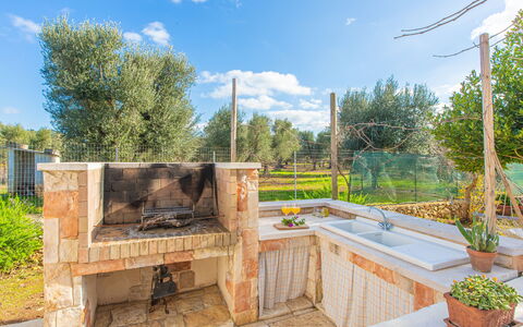 Trullo Con Piscina Per Bambini: Fabriek, Lucht, Wolk, Eigendom, Gebouw, Boom, Hout, Bloempot, Architectuur, Gras