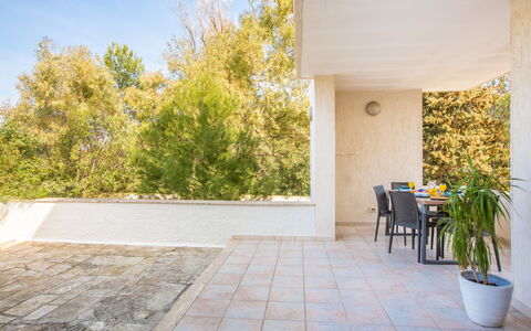 Villa Salento: Fabriek, Lucht, Bloempot, Schaduw, Hout, Verdieping, Gras, Flooring, Weg Oppervlak, Kamerplant