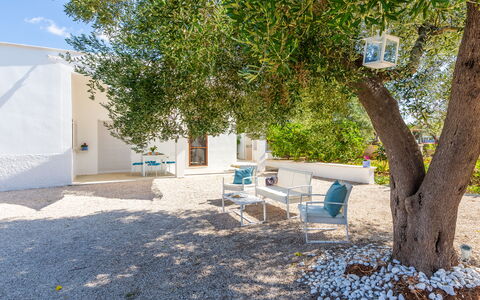 Lamia Di Nonna Mena: Eigendom, Boom, Onroerend Goed, Architectuur, Huis, Kamer, Gebouw, Meubilair, Werf, Backyard