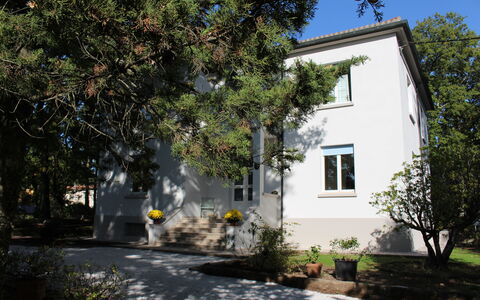 Villa La Casa Bianca: Eigendom, Huis, Huis, Gebouw, Onroerend Goed, Boom, Woongebied, Buurt, Architectuur, Landgoed