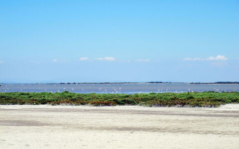 Le Grau du Roi 340: Lucht, Blauw, Dag, Natuurlijke Omgeving, Horizon, Ecoregio, Strand, Plain, Wolk