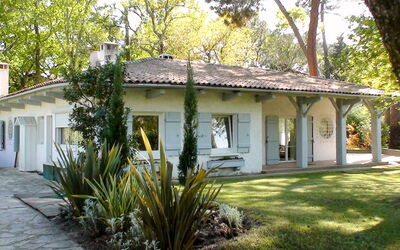 Les Cigales (Ach100)