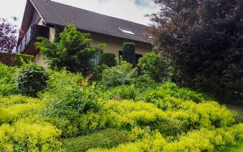 Waldvogt: Vegetation, Natuurlijk Landschap, Tuin, Eigendom, Boom, Huis, Struik, Botanische Tuin, Plantkunde, Fabriek