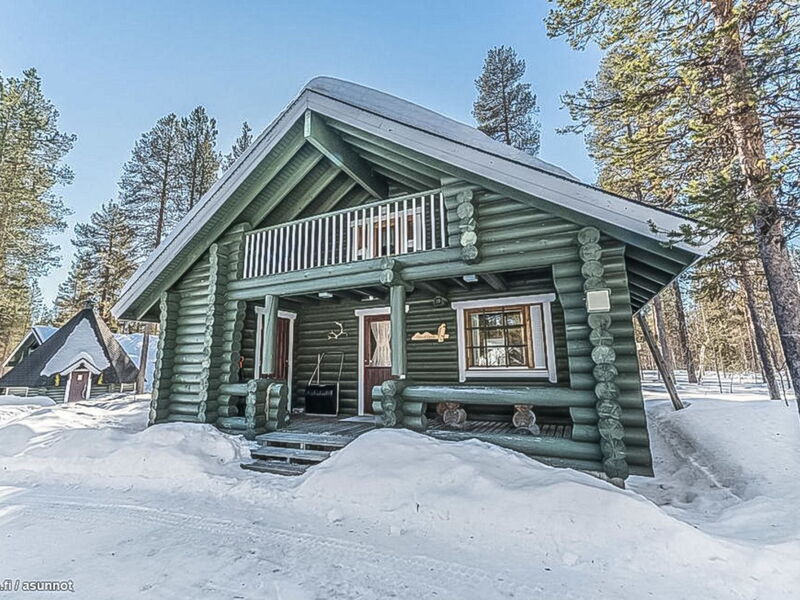 Levihaukka 10