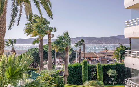 Le Mexico: Lucht, Fabriek, Eigendom, Water, Azure, Boom, Arecales, Vegetation, Biome, Vrije Tijd