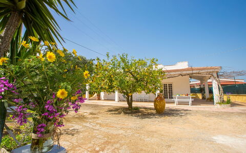 Villa Mediterranea: Eigendom, Bloem, Geel, Fabriek, Onroerend Goed, Boom, Huis, Vakantie, Gebouw, Landelijk Gebied