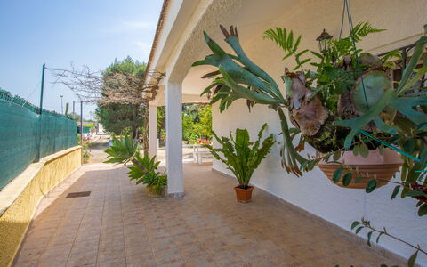 Villa Mediterranea: Lucht, Fabriek, Gebouw, Blad, Weg Oppervlak, Hout, Arecales, Schaduw, Plantendiversiteit, Onroerend Goed