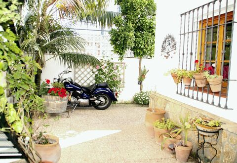 Apartamento Caracola: Fabriek, Wiel, Eigendom, Bloempot, Autoband, Voertuig, Plantkunde, Architectuur