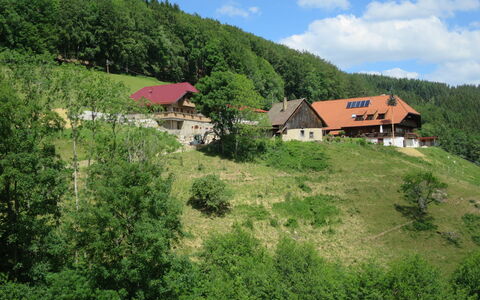Schmalzenhof: Bergdorp, Natuur, Vegetation, Heuvel Station, Natuurlijk Landschap, Bergachtig Landvormen, Eigendom, Heuvel, Landelijk Gebied, Berg