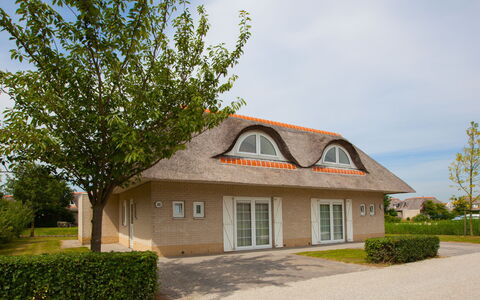 Citta Romana: Huis, Eigendom, Huis, Woongebied, Onroerend Goed, Verblijf, Dak, Gebouw, Landgoed, Boom