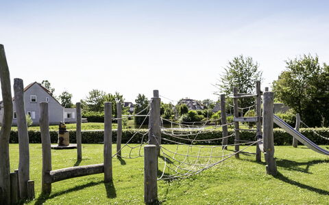Citta Romana: Gras, Fabriek, Land Lot, Grasland, Tuin, Pasture, Landelijk Gebied, Grassenfamilie, Gazon