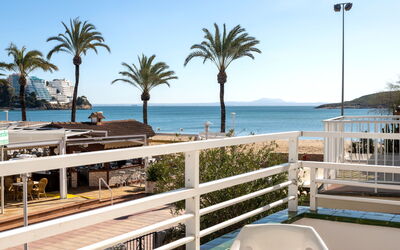 Magaluf 100: Lucht, Eigendom, Vakantie, Boom, Palmboom, Onroerend Goed, Toevlucht, Oceaan, Zee, Strand