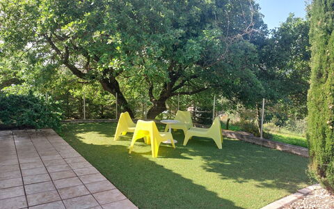 Bois D'Astros: Groen, Blad, Gras, Struik, Tuin, Gazon, Schaduw, Groundcover, De Lente, Woody Plant