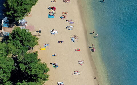 Ivanka: Strand, Luchtfotografie, Zand, Boom, Fotografie, Wereld, Kust, Landschap, Kust En Oceanic Landvormen, Vrije Tijd