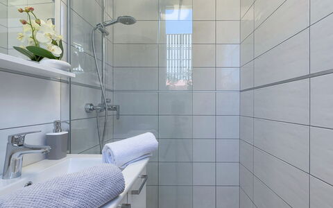 Ivanka: Badkamer, Tegel, Eigendom, Kamer, Architectuur, Muur, Interieur Ontwerp, Loodgieterswerkinrichting, Verdieping, Kraan