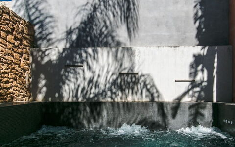 Sa Muralla: Water, Natuur, Gebouw, Gras, Boom, Rechthoek, Muur, Woody Plant, Aanpassing, Arecales