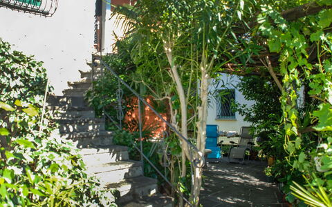 Verzaschina: Fabriek, Eigendom, Venster, Gebouw, Deur, Biome, Woody Plant, Struik, Boom, Onroerend Goed
