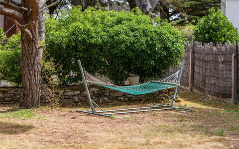 Ty Jeanne: Groen, Boom, Gras, Werf, Fabriek, Woody Plant, Backyard, Schommel, Tuin, Huis