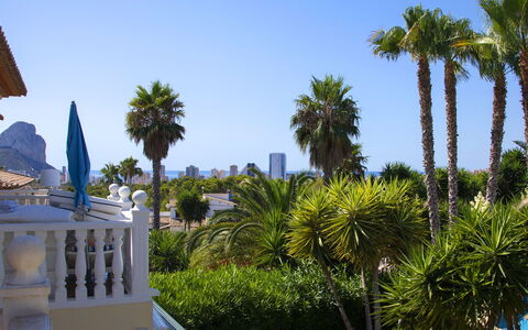 Calpe Calp 463: Boom, Vakantie, Woody Plant, Vrije Tijd, Schaduw, Tropen, Eco Hotel, Toevlucht