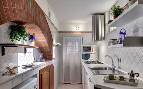 49 Little House: Cabinetry, Gootsteen, Eigendom, Countertop, Wastafel, Wit, Fabriek, Gebouw, Keuken, Kamerplant