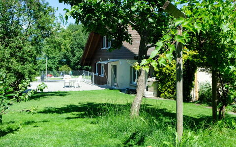 Hauswurz: Struik, Verblijf, Gazon, Tuin, Land Lot, Schaduw, Backyard, Werf, Boerderij