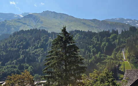 Titliszentrum 2: Berg, Bergachtig Landvormen, Boom, Natuur, Blad, Heuvel, Vegetation, Bergketen, Woud, Hoogland