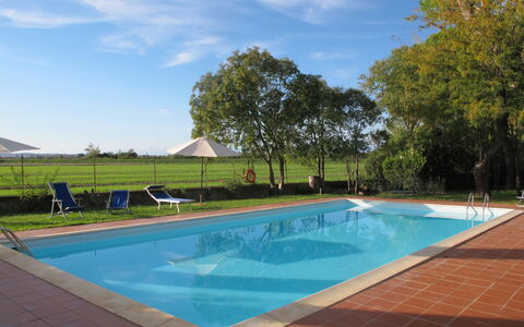 Fattoria di Scaletta: Lucht, Water, Wolk, Strand, Paraplu, Buitenmeubels, Schaduw, Kust En Oceanic Landvormen