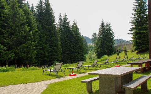 Panorama View 905: Natuur, Boom, Natuurlijk Landschap, Gras, Bergketen, Wildernis, Alpen, Biome, Openbare Ruimte, Tafel
