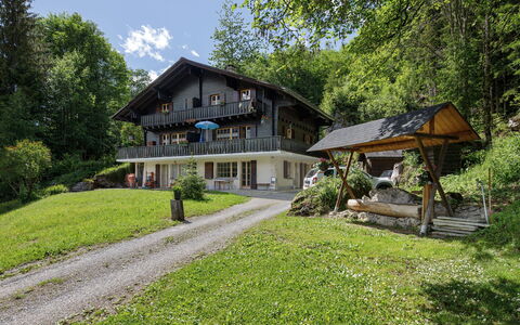 Les Diablerets 600: Boom, Huis, Huis, Verblijf, Landelijk Gebied, Menselijke Nederzetting, Landgoed, Boerderij, Veranda, Gazon