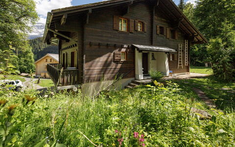 Les Diablerets 600: Gebouw, Huis, Hout, Huis, Verblijf, Dak, Landelijk Gebied, Siding, Deur, Blokhut