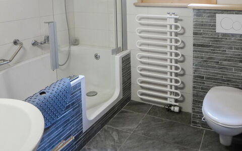 Les Diablerets 600: Eigendom, Loodgieterswerkinrichting, Verdieping, Flooring, Toilet, Badkamer, Loodgieter, Kraan, Gas