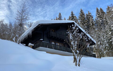 Les Diablerets 600: Lucht, Gebouw, Sneeuw, Wolk, Boom, Fabriek, Huis, Helling, Hout, Verblijf
