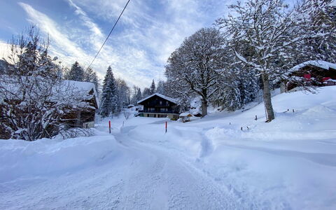 Les Diablerets 600: Wolk, Lucht, Sneeuw, Venster, Gebouw, Helling, Fabriek, Boom, Terrein, Huis