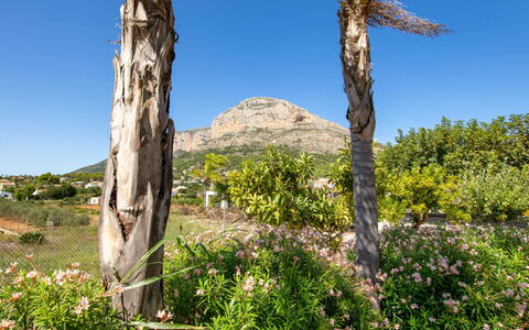 Villa Finca Labranza: Vegetation, Boom, Wildernis, Natuurlijke Omgeving, Natuurgebied, Plantengemeenschap, Fabriek, Biome,  Felsen\, Plantkunde