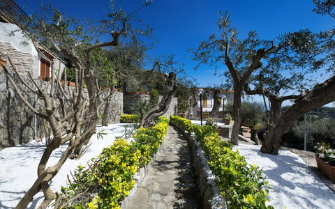 Villa Nerano: Eigendom, Boom, Onroerend Goed, Plantkunde, Fabriek, De Lente, Huis, Toerisme, Landschap, Berg